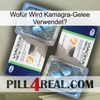 Wofür Wird Kamagra-Gelee Verwendetg viagra5